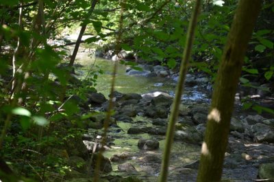 ZFH in sonniger Lage mit Bergblick zur Sanierung & Neugestaltung