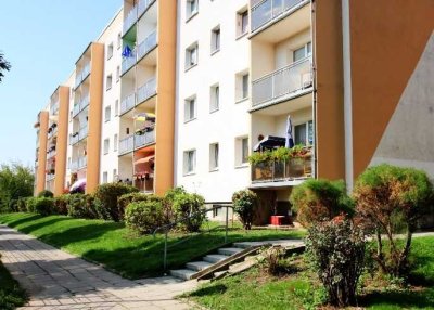 Wir sanieren 2026! 2-Raum-Wohnung mit Dusche!