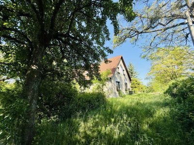 Einfamilienhaus mit Einliegerwohnung auf 1 Hektar Anwesen - für Naturliebhaber & Selbstversorger!