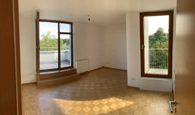 Exklusives Penthouse mit drei Sonnenterrassen und traumhaftem Weitblick über Blasewitz