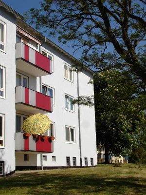 Zentral wohnen, aber im Grünen! Frisch modernisierte EG-Wohnung nahe Klinikum