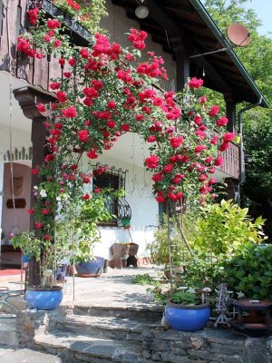 ***Charmantes Haus sucht Familie*** EFH mit großem idyllischem Garten, ELW, Garage u.v.m. ...