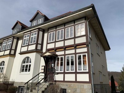 Helle Dachgeschosswohnung in Hasserode mit Einbauküche