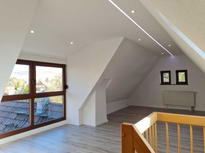 4,5 Zimmer Wohnung neu renoviert in Bretzfeld