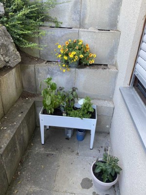 Schöne 1-Zimmerwohnung zu vermieten