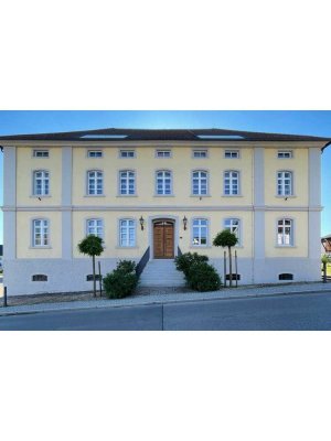 Exklusive Loft-Wohnung in denkmalgeschützem historischem Gebäude in Frickingen