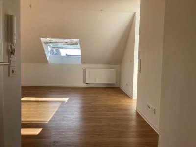 Großzügige sanierte 3 Zimmer Wohnung mit Balkon