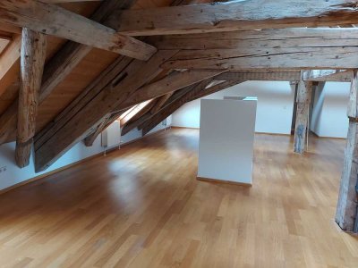 Seltene Gelegenheit: 2-Zimmer-Dachgeschosswohnung mit Loftcharakter im Schlossbereich Prüfening