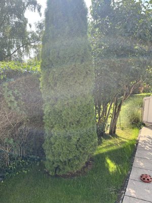 Wunderschöne 3-Zimmer-Gartenwohnung mit allem was dazugehört! Fernwärmeversorgung!