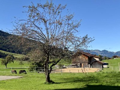 Hochparterre Wohlfühlwohnung im Hotel "Die Gams" in Bad Hindelang