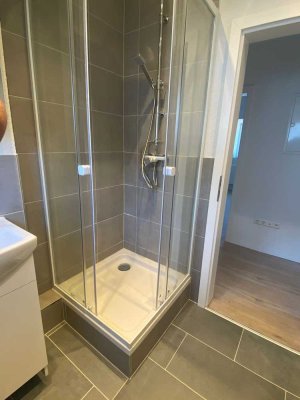 Exklusive, modernisierte 2-Raum-DG-Wohnung in Waldshut-Tiengen