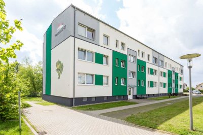 3 Raumwohnung sucht nette Mieter !