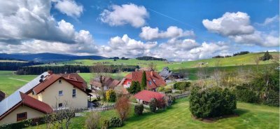 Dreizimmer- Komfortwohnung in herrlicher Panoramalage von Breitnau