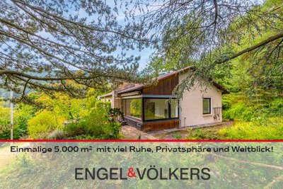 Einmalige 5.000 m² in Hambach mit viel Ruhe, Privatsphäre und Weitblick!