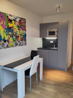 Modernes, stadtnahes und möbliertes 1-Zimmer Apartment in Koblenz-Bubenheim