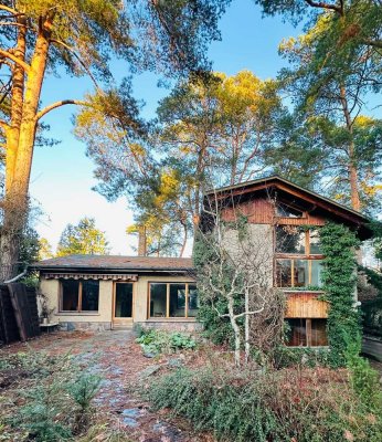 MÜGGELHEIM: Großzügiges Waldgrundstück mit individuellem Wohnhaus