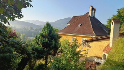 Charmante Villa im Schönbrunnstil mit Einliegerwohnung zu vermieten