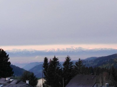 Moderne 2-Zimmer-Wohnung mit Balkon und Stellplatz in Hellmonsödt – Ihr neues Zuhause!