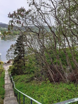 VELDEN kl. Bungalow TOP sonnige Seeblick-Traum -Lage(See 30m,Schloss 300m) 2.WSitz,Jahresmiete