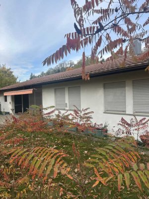 Neu renoviertes Haus am Bach