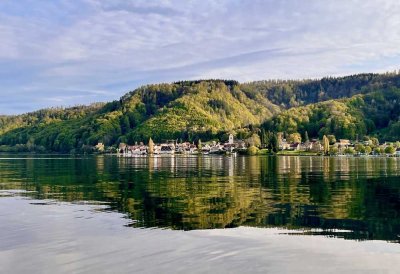 Wohnen, wo andere Urlaub machen? Seenahe, top renovierte Wohnung in Bodman