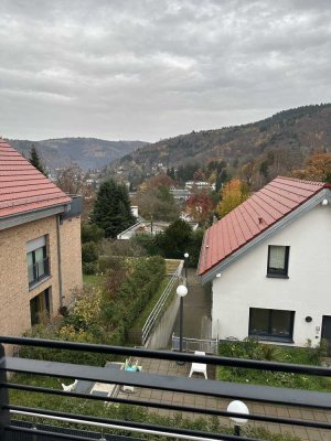 Modernes Penthouse mit Dachterrasse in Heidelberg Schlierbach- provisionsfrei