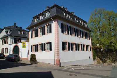 ImmobilienPunkt*** Einzigartige Altbauwohnung in historischem Ambiente mit Garten