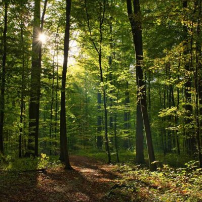 *****Neubau*****3 Zimmer***** LOGGIA*****#14