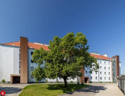 Schwechat-Rannersdorf: herrlich ruhige 2-Zimmer Mietwohnung