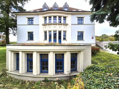 Residieren in einem top san. Gutshaus als Villa, EFH mit Einl.whg., Wohnen u. Gewerbe o. 4 ETW