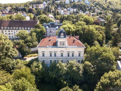 WIENTALBLICK | Lichtdurchflutete Wohnung in der historischen Villa Seutter mit 4,4m Raumhöhe &amp; Blick auf denkmalgeschützte Linde | sanierungsbedürftig | + Garten optional