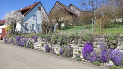 3-Zimmer-Erdgeschosswohnung in Hardthausen Lampoldshausen
