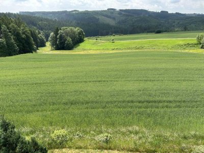 Penthouse-Wohnung mit grüner Aussicht