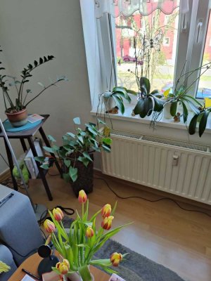 3 Zimmer + Küche + Bad + Flur in 38820 HALBERSTADT