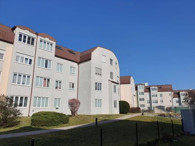 3-Zimmer-Wohnung, Top 12