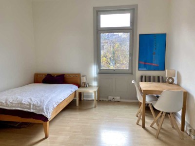 möblierte 1-Zimmer-Wohnung an zentraler Lage