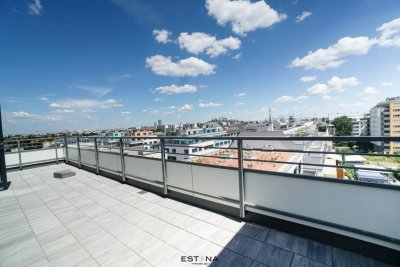 Schöne Pärchenwohnung mit großer Terrasse - Kirschblütenpark
