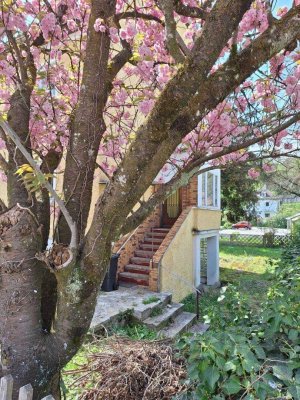 Eine Villa, ein Erbe, eine Vision – Geschichte neu gestalten in Gmunden