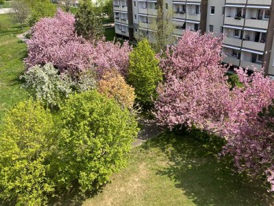 Viel Platz für wenig Geld, kinderfreundlich, Balkon, Spielplatz in der Nähe, ruhige Lage ,