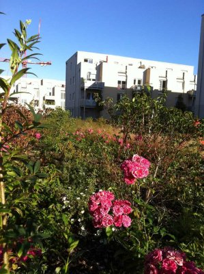 Große 2 -Zimmer-Wohnung mit großer Terrasse und Mietergarten