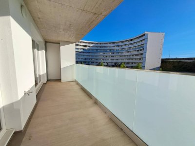 WEINZIERL XIII B - 23