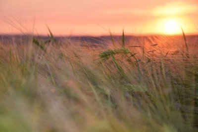 3-Zimmer-Wohnung im Ortsteil Passow