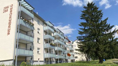 Charmante 2-Zimmer Wohnung im 2. OG, frisch saniert in Ulm-Eselsberg