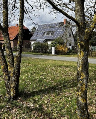 Einfamilienhaus mit PV-Anlage und vielen Extras im Rundlingsdorf