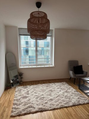 Sehr helle 2-Zimmer Wohnung im Linz Zentrum- Mozartkreuzung