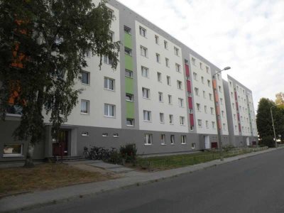 2 Raumwohnung nahe Stadtwald