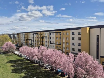 Wohnung im Rathauseck