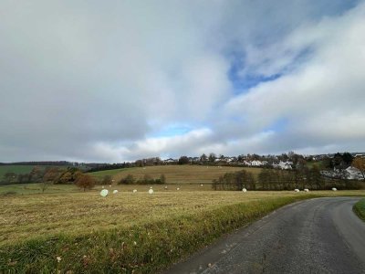 Ländliches Haus mit zwei Scheunen Wald, Wiese und Grünflächen in Halver zu verkaufen.