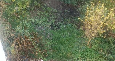 Reihenhaus in Ludwigsburg mit Garten