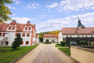 Charmante Denkmal-ETW mit Terrasse & Einbauküche – nachhaltig vermietet
